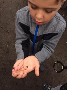 Toddler holding a balled up worm
