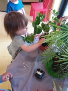 Kid touching some green plants