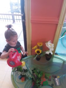 Little kid watering a few flowers