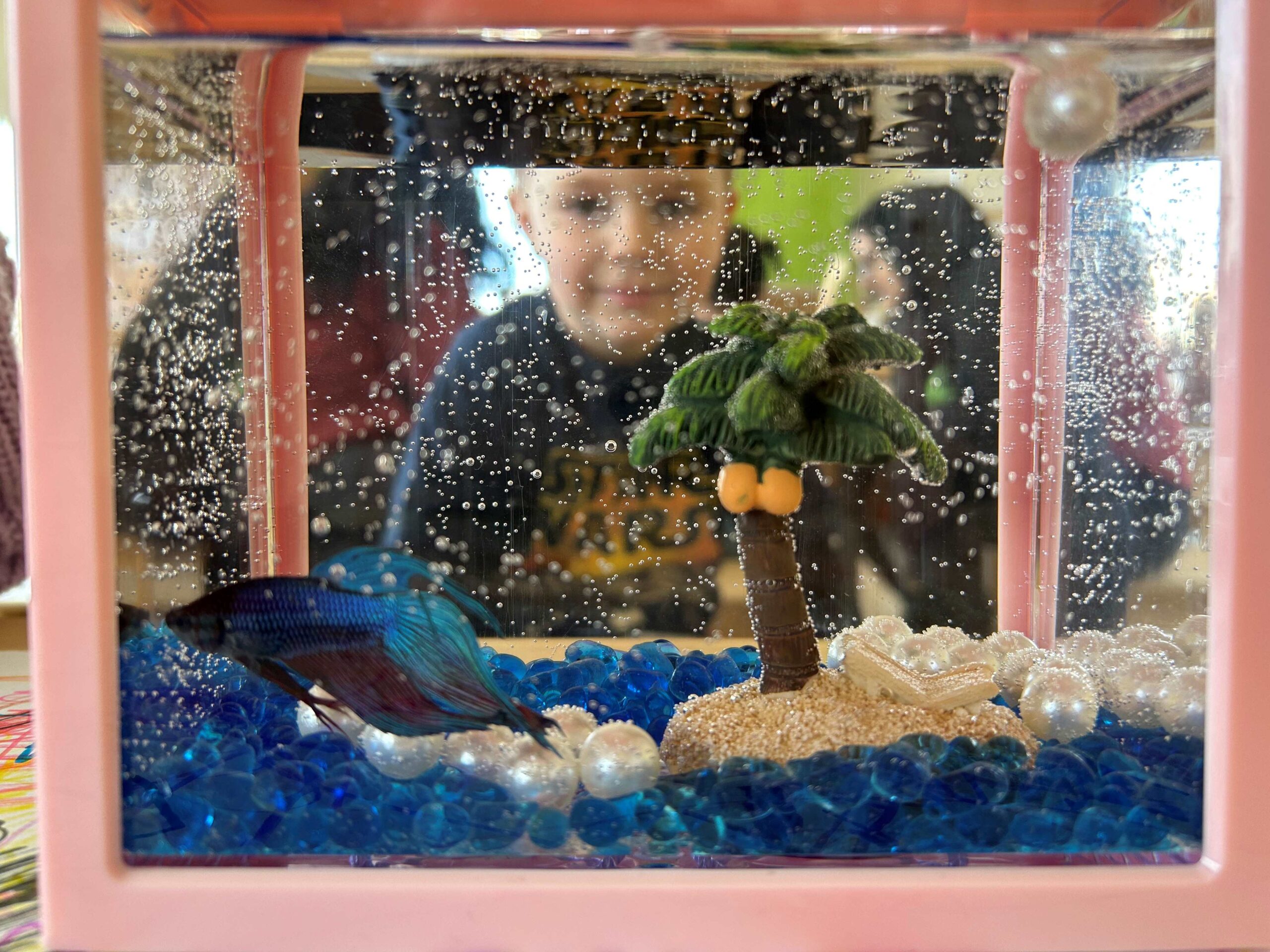 Magic Of Class Pets Tiny Hoppers Milton Sherwood Park magic-of-class-pets-tiny-hoppers-milton-sherwood-park