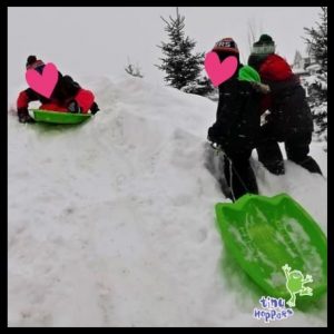 Toddlers sledding down a snow hill 
